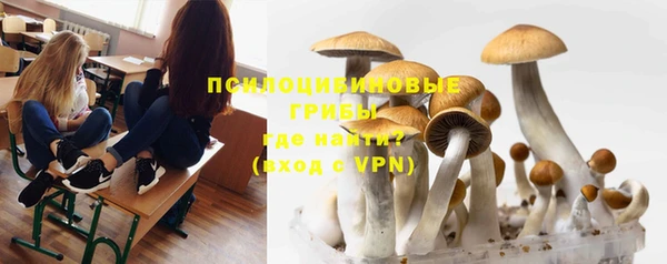винт Алексеевка