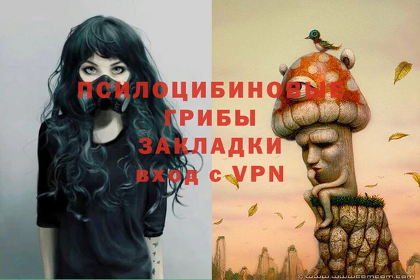 дживик Абаза