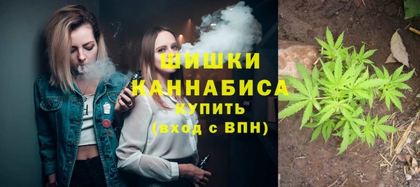 дживик Абаза