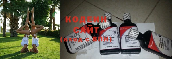 дживик Абаза